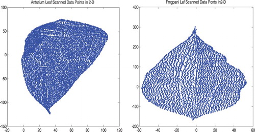 Figure 1. The 4688 scanned points for the Anthurium leaf (left figure) and the 3388 scanned points for the Frangipani leaf (right figure) in 2D.