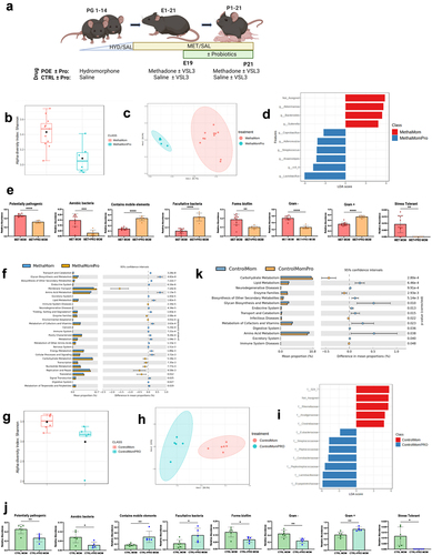 Figure 4. Supplementation with VSL#3 cocktail in dams alters maternal gut microbiome at weaning.