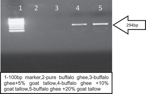 Figure 3. Detection of goat tallow in buffalo ghee by primer G.