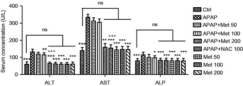Figure 2. The liver tissue levels of injury biomarkers (ALT, AST and ALP) in the control and subacute APAP-treated BALB/c mice receiving normal saline,metformin (50, 100 and 200 mg/kg) and NAC (100 mg/kg). The values are expressed as mean ± SD and analyzed using one-way ANOVA method followed by Tukey's post test. *p < 0.05, **p < 0.01, ***p < 0.001 compared to APAP/normal saline group; +++p < 0.001 compared to APAP/metformin 100 mg/kg group. ns: non-significant.