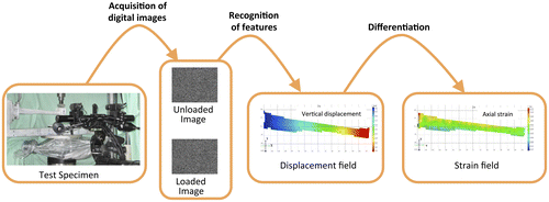 Figure 1. Workflow of DIC displacement and strain measurement: as an example, a 3D-DIC arrangement was used to investigate a human tibia.