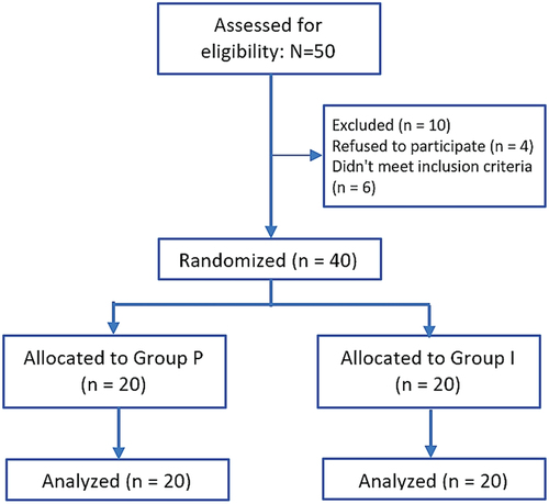 Figure 1. The study flowchart.