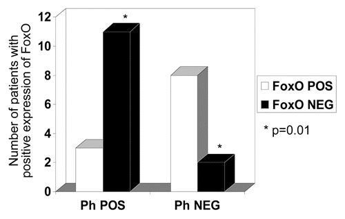 Figure 4 Data collated from IHC expression and Table 1, showing comparison between the two groups (Philadelphia chromosome-positive ALL versus Ph-negative disease/Controls). Most cases in the Ph-negataive group showed positive expression of FoxO3 (2/10), whereas only (3/14) cases showed positive expression in the Ph+ALL group. A two-tailed Fisher's exact test revealed the difference between the groups to be significant (p = 0.01).