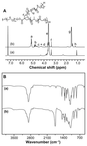 Figure 3 (A) 1H NMR and (B) FT-IR spectra of (a) mPEG113-(OH)2 and (b) mPEG113-b-P(LA12-co-GA9)2.Abbreviations: 1H NMR, proton nuclear magnetic resonance; FT-IR, Fourier transform infrared; mPEG, monomethoxy poly(ethylene glycol); P(LA-co-GA), poly(L-lactide-co-glycolide).
