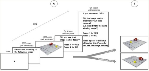 Figure 1. Schematic of events in the recognition test for Experiment 1. (A) Demonstrates what was on the screen and for how long the participants saw this information. Note that although these are photographs of the scenes in this part of the test, in the encoding session these items were placed onto this grid ‘live’ in front of the participants. The ‘sport equipment’ image seen here represents the ‘Identical' condition. That is, this was exactly what was shown during encoding. (B) These images show the two possible non-identical lure trials. The top is the example of an ‘Item Shift’ trial and the bottom of the ‘Perspective Shift’ [To view this figure in color, please see the online version of this journal].