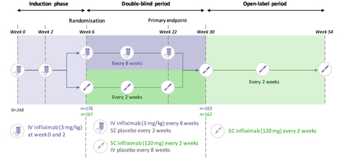 Figure 3 Design of part 2 of study CT-P13 3.5, a randomized, active-controlled, double-dummy, parallel groups, non-inferiority trial. The primary endpoint was measured during the double-blind and double-dummy phase at week 22, after which all patients switched to open-label SC formulation.