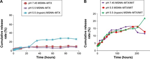 Figure 6 α-Chymotrypsin induces the cumulative release profile of MTX from (A) MSNN−MTX and (B) MSNN−MTX/MIT in pH 5.4 PBS.