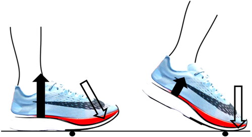 Figure 1. Schematic illustration of the teeter-totter effect including the applied force of the runner (solid arrow) at the forefoot, the reaction force at the mid-rearfoot (hollow arrow) and the pivot axis (black dot) during two time-points in stance phase. This is not a free body diagram.