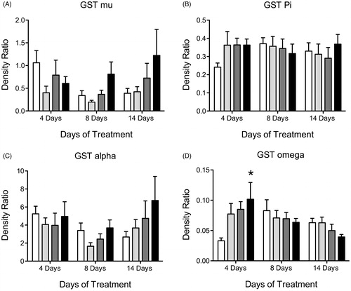 Figure 6. Histogram depicting density ratio to beta actin levels of liver GST isoform proteins (A) GST mu, (B) GST pi, (C) GST alpha and (D) GST omega levels after 4, 8 and 14 days of treatment with vehicle (white bars), 6.5 mg/kg (light gray), 50 mg/kg (dark gray) or 100 mg/kg (black bars) of ATR. Data are presented as mean ± SEM; *significant difference (p < 0.05) versus corresponding control.