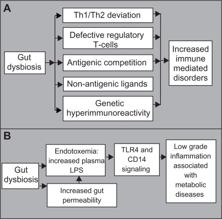 Figure 2 Proposed mechanisms whereby an altered microbial balance in the gut can lead to A) an increase in immune mediated disorders and B) chronic low-grade inflammation.