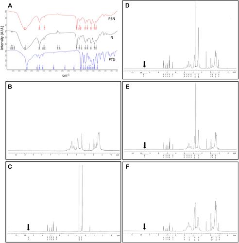 Figure 4 Analysis of hydrogen bonding interactions. FT-IR (A) and 1H NMR (B–F); (B) nanoparticle carrier, (C) PTS, (D) PSN1:2:2, (E) PSN1:4:4, (F) PSN1:8:8. The direction of the arrows represents the position of the hydrogen bond between PTS and EE-PVA.