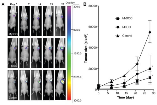 Figure 6 Biofluorescence imaging of antitumor activity in M2L-bearing BALB/c-nude mice. The mice were intravenously injected four times (on days 0, 7, 14, and 21) with the formulations at a dose of 10 mg docetaxel/kg−1 and 0.2 mL normal saline as a control. (A) Optical imaging; and (B) the inhibition rate of tumor growth, calculated from optical imaging.Notes: The results show means ± SD (n = 5 mice/group). *P < 0.05, as compared to the no-treatment control group.Abbreviations: SD, standard deviation; M-DOC, nanomicelle-loaded docetaxel; I-DOC, docetaxel injection.