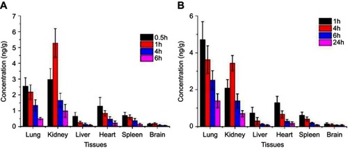 Figure 7 Tissue distribution diagram after tail vein injection (ng·g−1) (n=3). (A) histogram of drug concentration in each tissue after 0.5, 1, 4, and 6 hrs after rhIFNα-2b stock solution injection into the tail vein of mice. (B) Histogram of drug concentration in various tissues after the injection of rhIFNα-2b nanoporous microspheres into the tail vein of mice after 1, 4, 6, and 24 hrs.