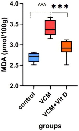 Figure 5. Effect of vancomycin and vitamin D3 on oxidative stress markers as malondialdehyde (MDA) levels in kidney homogenates. The data are expressed in mean ± SEM and n = 7 in each group. Normal diet (control); vancomycin exposed group without treatment (VCM); vancomycin exposed group treated with vitamin D3 (VCM + Vit D) groups. ^^^p < 0.0001 compared with the corresponding value in the control group. ***p < 0.0001 compared with the corresponding value in the VCM group.
