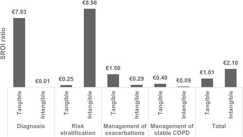 Figure 1 Social return on investment ratio according to areas of analysis and return typology.