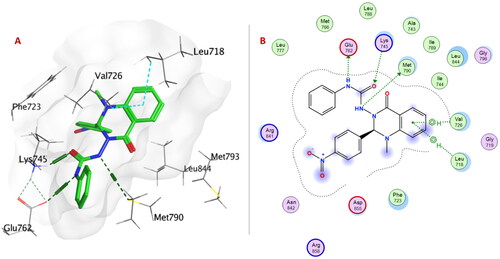 Figure 7. (A) 3D Interaction diagram of compound 6e (thick green sticks) in the molecular surface of EGFRL858R/T790M (PDB: 5EDQ) binding site. (B) 2D Interaction diagram of compound 6e with amino acid residues EGFRL858R/T790M.