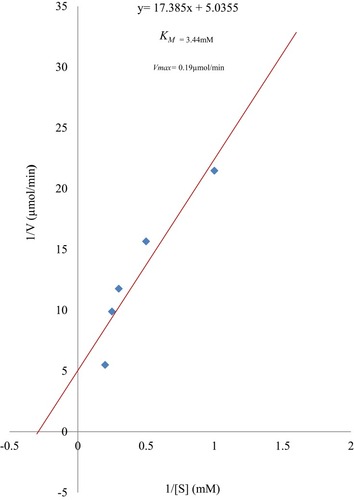 Figure 3 Lineweaver–Burk plot for the cleavage of para-nitrophenylphosphate by Trypanosoma evansi protein-tyrosine phosphatase.