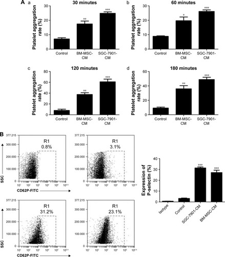 Figure 1 Tumor cells and BM-MSCs induce platelet activation.