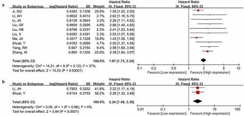 Figure 2. Forest plot illustrated the prognostic significance of MNX1-AS1 level for overall survival (a) and disease-free survival (b)