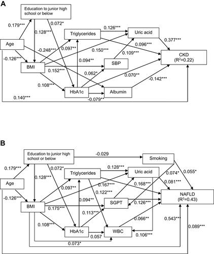 Figure 1 Structural equation model for chronic kidney disease in the patients with type 2 diabetes mellitus. χ2 = 57.90, p <0.05; Comparative Fit Index (CFI), 0.934; Goodness of Fit Index (GFI), 0.989; root mean square error of approximation (RMSEA), 0.046; standardized root mean square residual (SRMR), 0.034. *P<0.05, **P<0.01, and ***P<0.001. Path loadings are standardized coefficients (A). Structural equation model for nonalcoholic fatty liver disease in the patients with type 2 diabetes mellitus. χ2 = 53.54, p <0.05; CFI, 0.965; GFI, 0.991; RMSEA, 0.037; SRMR, 0.029. *P<0.05, **P<0.01, and ***P<0.001. Path loadings are standardized coefficients (B). Variables that were included in the structural equation model are presented in Supplemental Tables 1 and 2.Abbreviations: BMI, body mass index; SBP, systolic blood pressure; CKD, chronic kidney disease; SGPT, serum glutamic pyruvic transaminase; WBC, white blood cell; NAFLD, nonalcoholic fatty liver disease.