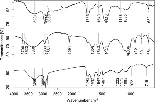 Figure 13. FTIR spectra (transmission mode): (top) grey paint, (middle) green paint after extraction prior to GC-MS analysis, (bottom) egg yolk reference. Absorptions at 2930 cm−1, 2860 cm−1, and 1735 cm−1 indicate oil content. Weaker absorptions at 1650 cm−1 (shoulder) and 1540 cm−1 indicate protein. Other absorptions in the spectrum of the green paint (middle) are caused mainly by pigments: Prussian blue (2091 cm−1), lead white (1411 cm−1, 684 cm−1), and clay minerals (3700 cm−1, 3623 cm−1, 1036 cm−1, 915 cm−1).