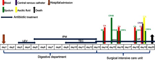 Figure 1 Timeline of antimicrobial treatment and bacterial isolation of the patient. Colored text and bars represent the source that the bacterial species was isolated from.Abbreviations: CR, carbapenem-resistant; PA, P. aeruginosa; SM, Stenotrophomonas maltophilia; AB, Acinetobacter baumannii; CA, Candida albicans; LEV, levofloxacin; MEM, meropenem; TEC, teicoplanin; CIP, ciprofloxacin.
