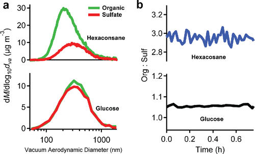 Figure 3. (a) The mass distribution of organic and sulfate of hexacosane and glucose coated ammonium sulfate particles. (b) The change of org:sulf of particles over the time. Mixed glucose and ammonium sulfate particles have a constant composition vs size. Hexacosane condensed onto ammonium sulfate leads to a larger organic mass fraction on smaller particles. However, org:sulf did not show any significant evolution for either particle type. Size dependent particle wall losses thus do not substantially complicate data interpretation.