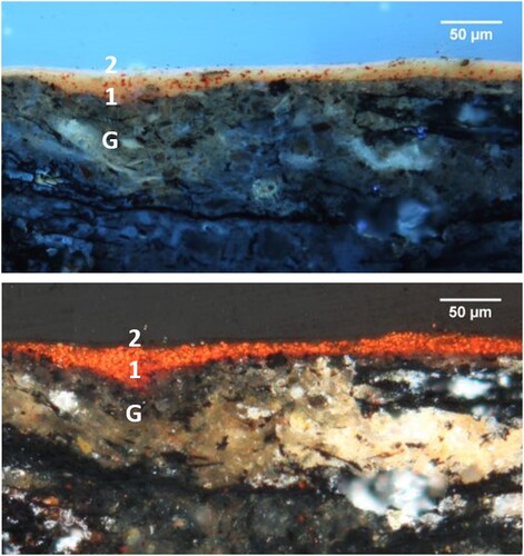 Figure 9. Cross-section photomicrographs under visible (below) and ultraviolet light (above) showing layers from the folding screen. Photomicrographs by Herant Khanjian.