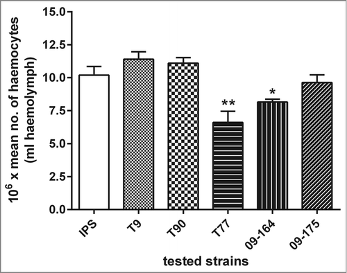 Figure 5. Larval haemocyte densities in response to A. terreus infections. Larvae were injected with a non lethal dose of different A. terreus spores (ATR: T9, T90; ATS: T77, 09-164, 09-175) or IPS buffer and incubated at 30°C for 48 h and haemocyte counts were carried out relative to the IPS control. Results are significantly different (*p ≤ 0.05; **p ≤ 0.01; Students t-test, 2 tail) to the IPS control.