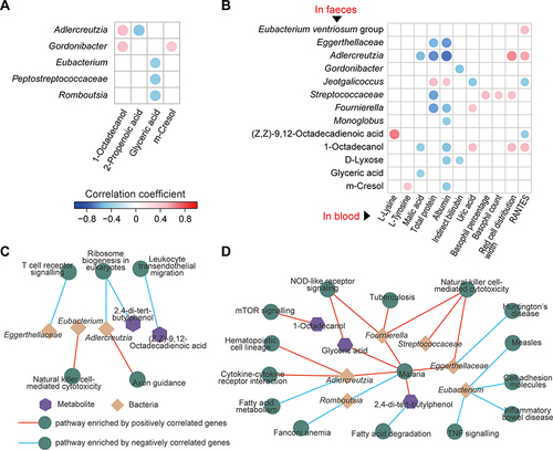 Figure 7 Associations among faecal bacteria, faecal and serum metabolites, and gut and lung pathways influenced by CBLEB. (A) Correlation of CBLEB-influenced faecal bacteria with faecal metabolites (P < 0.01). (B) Correlation of CBLEB-influenced faecal bacteria and metabolites with blood metabolites, liver and kidney function indicators, and cytokines (P < 0.01). (C and D) Pathways enriched by genes that were positively or negatively correlated with individual faecal bacteria or metabolites according to the KEGG database in the colon (C) and lung (D) (P < 0.001).