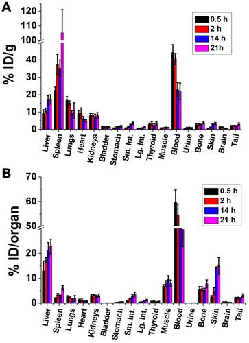 Figure 3 Biodistribution of 211At activity after intravenous injection of 211At-labeled GNS in normal mice. The results are shown as percent injected dose per gram tissue (%ID/g) (A), and as percent injected dose per organ (%ID/organ) (B). Error bar shows the standard deviation (n=5).