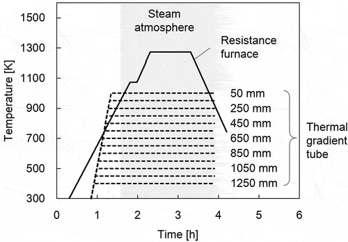 Figure 3. Preset temperatures of the resistance furnace and the TGT, and duration of steam atmosphere