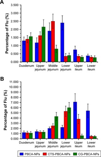 Figure 7 Retentive profile of PBCA-NPs, CTS-PBCA-NPs, and CG-PBCA-NPs in the intestinal tract at 1 (A) and 2 (B) hours after intragastrical administration.Abbreviations: CG, chitosan–glutathione; CTS, chitosan; NP, nanoparticle; PBCA, poly (n-butyl) cyanoacrylate.