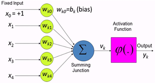 Figure 1. Diagram showing the strength of connection of a neuron with bias and activation function.