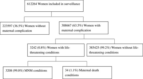 Figure 1 Flow chart of survey participants and maternal safety outcome.