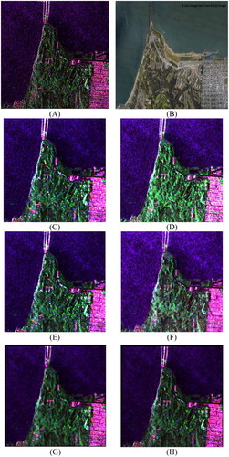 Figure 15. San Francisco: (A) original polarimetric image, (B) snapshot of the study area from Google EarthTM, (C) the 5 × 5 average filtered image, (D) image filtered with 5 × 5 refined PolSAR filter (Lee, Grunes, and De Grandi Citation1999), (E) the 5 × 5 Lopez (Lopez-Martinez and Fabregas Citation2008) filtered image, (F) IDAN (Vasile et al. Citation2006) filtered image with window size row of 50, (G) average filtering with adaptive window size, and (H) PolSAR filtering with adaptive window size.