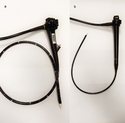 Figure 1. Image of the EUS echo-endoscope (a) and the EBUS echo-endoscope (b).