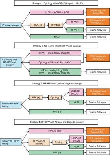 Figure 2 Flowchart of the four screening strategies for cervical cancer.Abbreviations: ASC-US, atypical squamous cells of undetermined significance; HR-HPV, high-risk human papillomavirus; LSIL, low-grade squamous intraepithelial lesion; ASC-H, atypical squamous cells, not possible to exclude high-grade squamous intraepithelial lesion; AGC, atypical glandular cells; ECC, endocervical curettage; NILM, negative for intraepithelial lesion and malignancy; HPV, human papillomavirus.