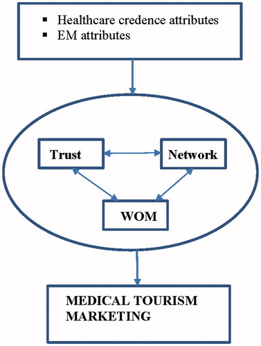 Figure 1. Marketing of medical tourism in emerging markets.