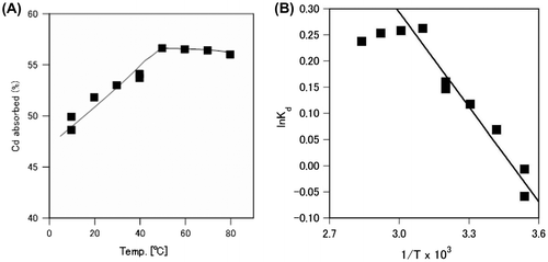 Fig. 5. Effect of temperature on cadmium absorption from the cadmium nitrate solution by A. nicotianae IAM12342 cells.Cells were assayed with the batch system described in the methods, in the presence of 20 mg/L of cadmium. In order to confirm the effect of temperature, twice amounts of cadmium was used in this experiment. (A) Percent cadmium absorbed at different temperatures. (B) The logarithm of the Kd (absorbed cadmium concentration/residual cadmium concentration in solution) plotted against the reciprocal of the temperature to estimate the enthalpy of Cd absorption.