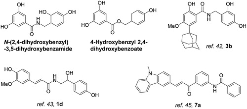 Figure 6. Representative synthetic chalcone derivatives.