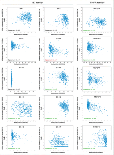 Figure 5. Correlation between the promoter methylation status and mRNA expression level of the B7 and TNFR families in 496 head and neck cancer samples. Spearman coefficient in red, relatively strong correlation; Spearman coefficient in green, moderate correlation; Spearman coefficient in black, poor correlation. B7-H1 mRNA levels were negatively correlated with promoter methylation status relatively strongly. B7-H3, B7-H4, B7-H5, B7-H6, B7-H7, TNFSF4, TNFRSF5, TNFSF7, TNFSF9, and TNFSF18 mRNA levels were moderately negatively correlated with their promoter methylation status. Promoter methylation status data for TNFRSF14 were unavailable.