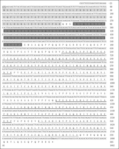 Figure 1. Composite nucleotide and deduced amino acid sequences of the goose IGF2BP3 gene. A single open reading frame of 1755 bp is present, encoding a protein of 584 amino acids. The letters underlined and in bold indicate the start codon (ATG); the stop codon (TAA) is indicated with an asterisk; the two RRMs are shaded with light grey and dark grey, respectively; the four KH domains are indicated by a double underline, dotted line, bold underline and solid lines, respectively.