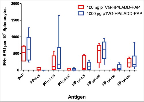 Figure 6. Induction of PAP-specific MHC class II-restricted immunity was not reduced using higher concentration of DNA for priming immunization. A2/DR1 mice were immunized with 100 µg (n = 5, red) or 1000 µg of pTVG-HP (n = 6, blue) followed three weeks later with 1× 106 cfu LADD-PAP. One week after the last immunization splenocytes were collected for IFNγ ELISPOT analysis as in Fig. 2. Shown are box and whisker plots with the number of IFNγ spot-forming units (SFU) per million splenocytes for each stimulating antigen for all animals per dose treatment group. Statistical comparisons were made using Mann-Whitney U test, and no comparisons between groups treated with the different DNA concentrations were found to have p < 0.05.