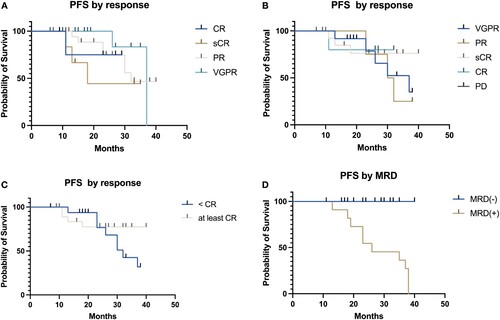 Figure 4. Progression-free survival in patients with multiple myeloma undergoing autologous hematopoietic stem cell transplant according to pre-transplant (A), post-transplant response criteria (B–C) and measurable residual disease post-transplant (D).