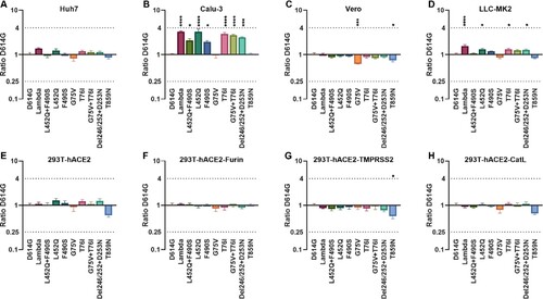 Figure 2. Infectivity analysis of Lambda variant pseudoviruses Infection assays with the 10 Lambda variant-related mutant pseudotyped viruses in Huh-7 (A), Calu-3 (B), Vero (C), LLC-MK2 (D), 293T-ACE2 (E), 293T-ACE2-Furin (F), 293T-ACE2-TMPRSS2 (G) and 293T-ACE2-CatL (H) cells. The relative infectivity of the mutant pseudoviruses is presented as the ratio of relative luciferase units (RLU) for mutant/RLU for the D614G variant. All results were obtained from three independent experiments (mean ± SEM). The dashed lines indicate the threshold of four-fold differences. One-way ANOVA and Dunnett's multiple comparisons test were employed to determine differences in infectivity between Lambda and D614G.