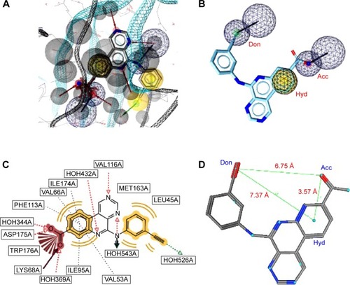 Figure 3 A pharmacophore model used to screen for potential active compounds against the 3PE2 target.