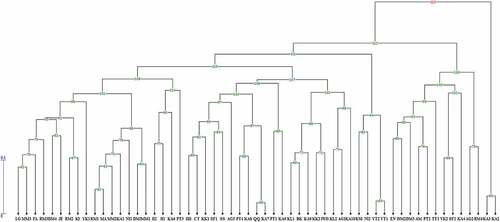 Figure 2. UPGMA dendrogram of 57 Diospyros genotypes based on ISSR molecular marker. The code is the same as .Table 1