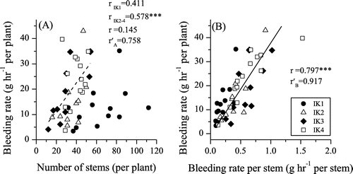 Figure 1. Relationships between the number of stems and bleeding rate per plant (A), and between bleeding rate per stem and bleeding rate per plant (B) in Erianthus arundinaceus. The broken line in A indicates the linear regression among IK2, IK3, and IK4. The solid line in B indicates the linear regression among all the four strains. r: correlation coefficient among all the four strains. rIK1: correlation coefficient in IK1. rIK2–4: correlation coefficient among IK2, IK3, and IK4.