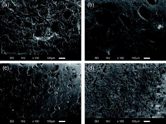 Figure 2. SEM images of the cross-sections of synthetic BWs after the leaching test. (a) BWAD, (b) BW45, (c) BW10, and (d) BW55.